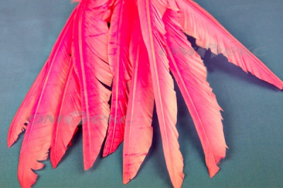 Декоративный Пучок из перьев, перо 25см/розовый - купить в Армавире. Цена: 14.40 руб.