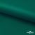 Ткань подкладочная Таффета, 19-5420, 53 г/м2, антистатик, шир. 150 см, вечнозеленый - купить в Армавире. Цена 57.16 руб.