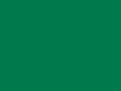 70 см № 258 св. зеленый молнии спираль - купить в Армавире. Цена: 14.58 руб.
