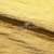 Текстильный материал "Диско"#1805 с покрытием РЕТ, 40гр/м2, 100% полиэстер, цв.5-золото - купить в Армавире. Цена 412.36 руб.