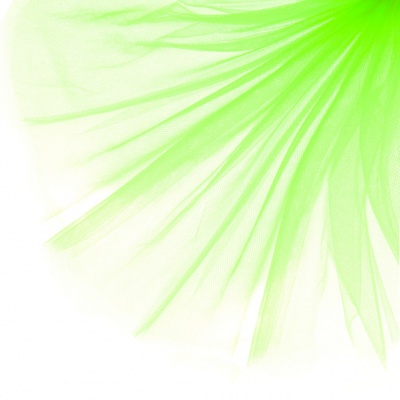 Фатин матовый 16-142, 12 гр/м2, шир.300см, цвет неон.зелёный - купить в Армавире. Цена 101.95 руб.