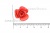Украшение "Розы малые №1" 20мм - купить в Армавире. Цена: 32.49 руб.