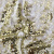 Трикотажное полотно, Сетка с пайетками, шир.130 см, #315, цв.-белый/золото - купить в Армавире. Цена 693.39 руб.