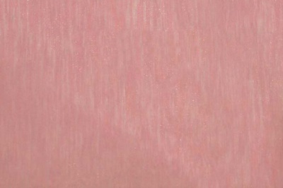 Органза однотонная "Амелия" С19 (Розовый) 280 см - купить в Армавире. Цена 303.09 руб.