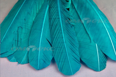Декоративный Пучок из перьев, перо 24см/голубой - купить в Армавире. Цена: 12.19 руб.