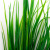 Трава искусственная -2, шт (осока 41см/8 см)				 - купить в Армавире. Цена: 104.57 руб.