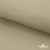 Ткань подкладочная TWILL 230T 14-1108, беж светлый 100% полиэстер,66 г/м2, шир.150 cм - купить в Армавире. Цена 90.59 руб.