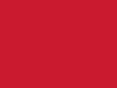 Сетка подкладочная красный, 60г/м2 (10 м/кг) - купить в Армавире. Цена 885.73 руб.