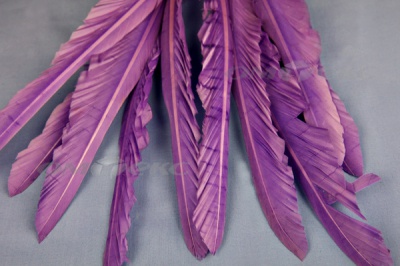 Декоративный Пучок из перьев, перо 25см/фиолетовый - купить в Армавире. Цена: 12.19 руб.
