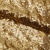 Сетка с пайетками №3, 188 гр/м2, шир.140см, цвет золотой - купить в Армавире. Цена 454.12 руб.
