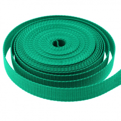 Стропа текстильная, шир. 25 мм (в нам. 50+/-1 ярд), цвет яр.зелёный - купить в Армавире. Цена: 397.52 руб.
