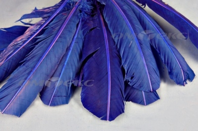 Декоративный Пучок из перьев, перо 23см/синий - купить в Армавире. Цена: 12.34 руб.