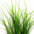 Трава искусственная -3, шт (осока 50 см/8 см  5 листов)				 - купить в Армавире. Цена: 124.17 руб.