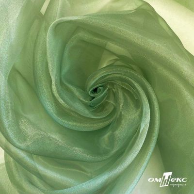 Ткань органза, 100% полиэстр, 28г/м2, шир. 150 см, цв. #27 зеленый - купить в Армавире. Цена 86.24 руб.